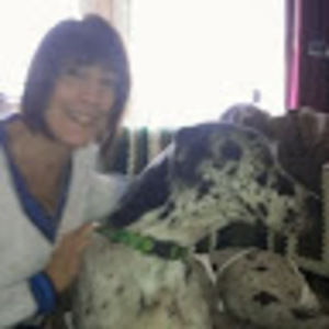 Meet your Posher, Joyce